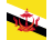 Brunei Darussalam Bandera