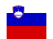 Słowenia Flaga