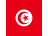 Túnez Bandera